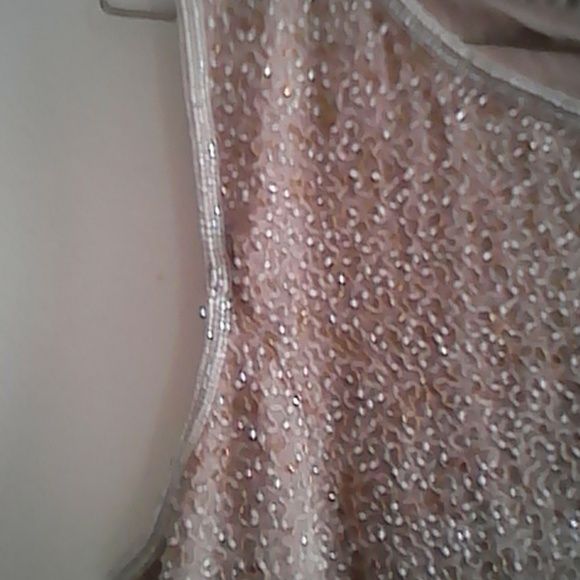 Adrianna Papell Beaded Silk Top New - Picture 4 of 8